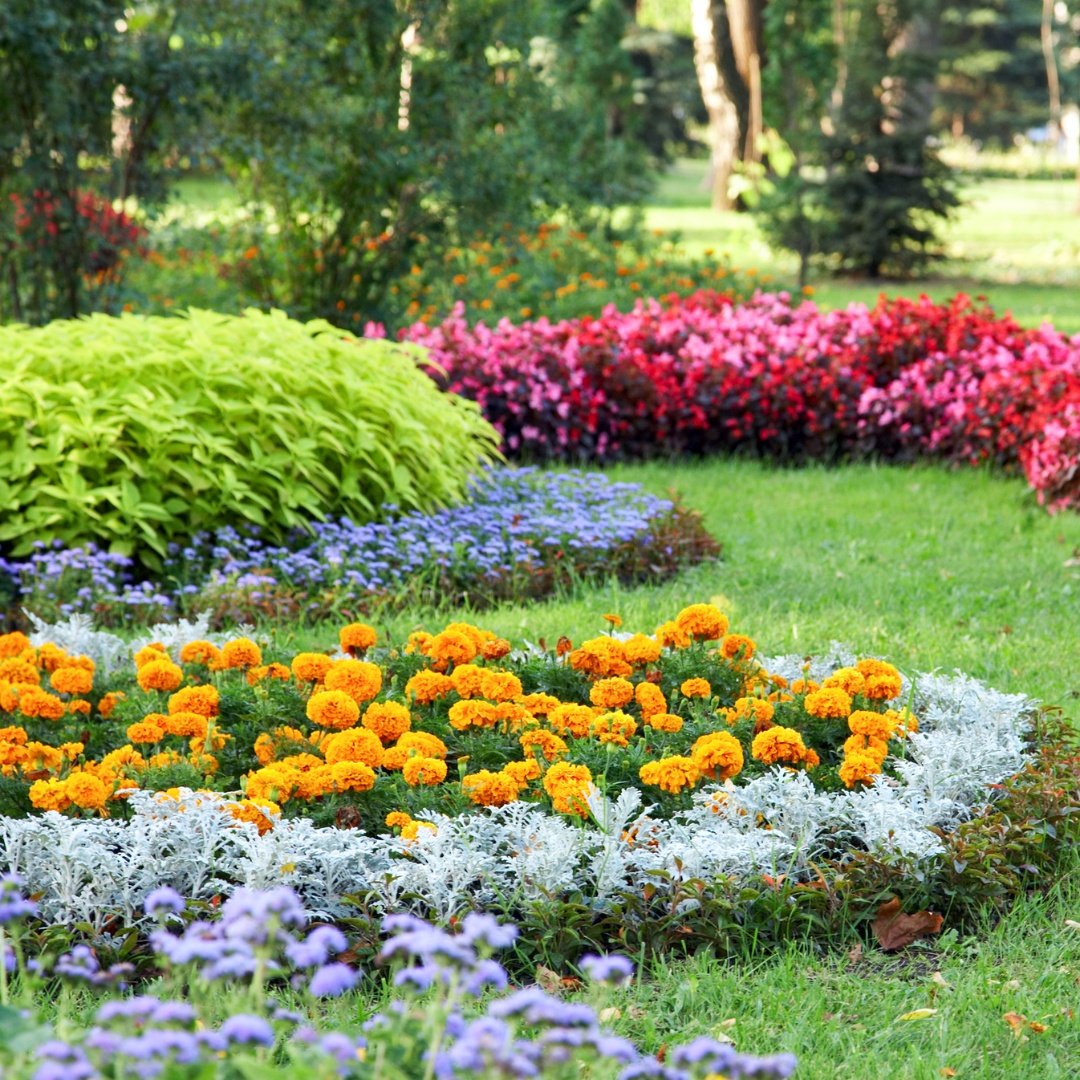 Jardin et plantations